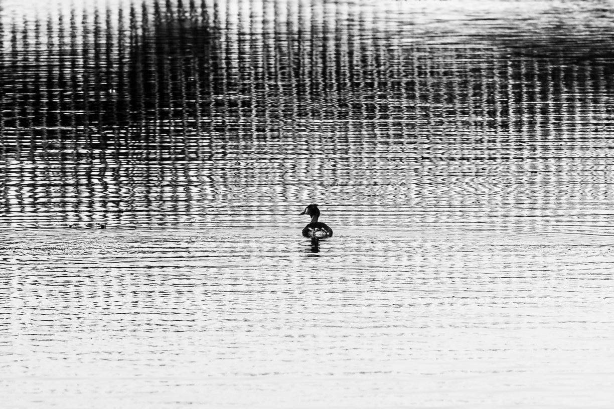 Abstract 4